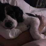 Sleeping with his dad as he does every night