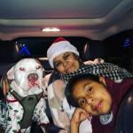 Christmas with Dragon