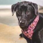 Looking like a cutie pie