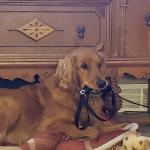 Stanley Robert Beckman