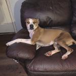 My sweet baby girl yoohoo