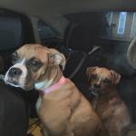 Treasure box my support buddy she is amazing!