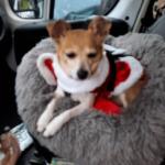 Always on the alert and ready.