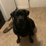 That’s Frank!!!!!!!!!