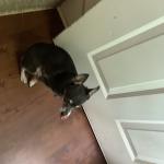 He helps me out when I’m sad and upset