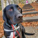 Thor (Thorstin Goldade) at the park