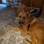 Manaba Taylor 6 years old