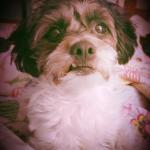 Mercy knows when I am in pain