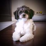 Mercy waits to comfort me