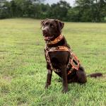 Nash in New Camo Service Equipment