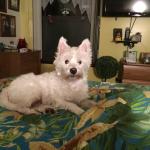 My Sweet LilyRose1223