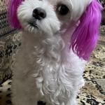 Ruby’s latest picture