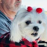 Ruby without her pink ears and tail lol