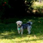 Eddie looking and feeling great after hair cut