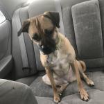 Wanting McDonald’s