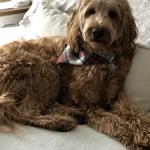 Paisley at 2 years old