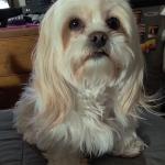 Tatty's show off pictures