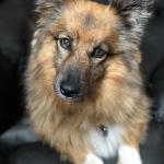 This is Luna in 2021