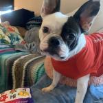 Lucy 2021 updated ohoto