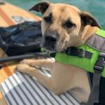 Abbie on the paddleboard