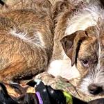 Junior after working hard