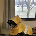 I am ready for the rainy season