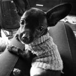 Mama, I’m here for you!