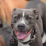 All smiles for social time