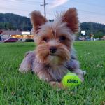 Zoei at the park