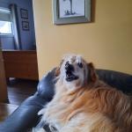 Timmy Romain in 2021