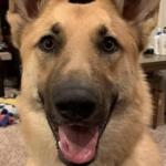 Rory Bluthardt Adult