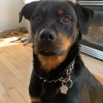 My best friend Kolbe