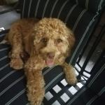 My own angel my protector