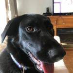 luna and I are laying on the couch