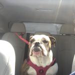 Ready to Ride-Let’s Go