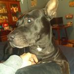 She protects me in crowds