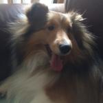 Always by my side, making sure I’m ok always Happy!