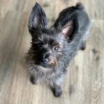 Oliver is 22 months old