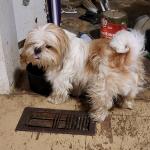 Side view of Gidget von Digit