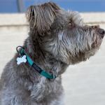 Annie’s profile pic for ADA