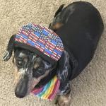 Pride Girl on Rainbow Festival