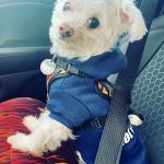 Tico Always On The Go!