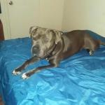 Prince Just relaxing