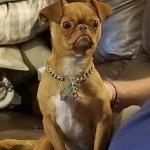 Salisbury at her finest