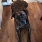 Nitro wanting food