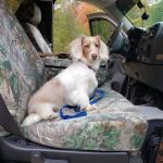 Ready for a road trip!!!