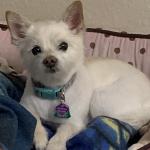 Valentina at her best