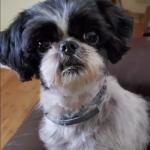 Betty looking to go for a ride