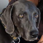 Storm Majka profile picture