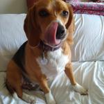 Bo Baxter our forever baby